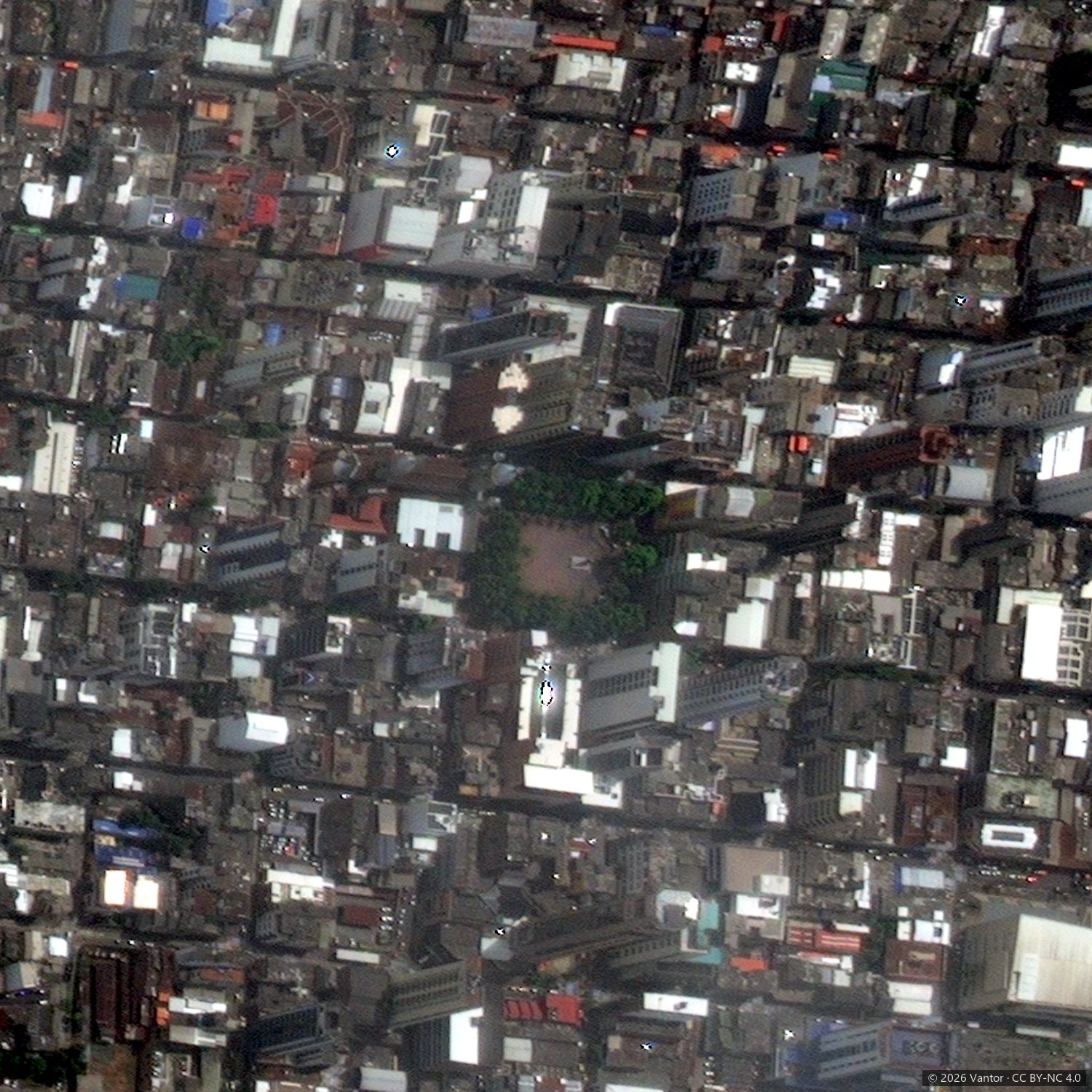 Plaza de Bolívar, 31 de julio de 2026