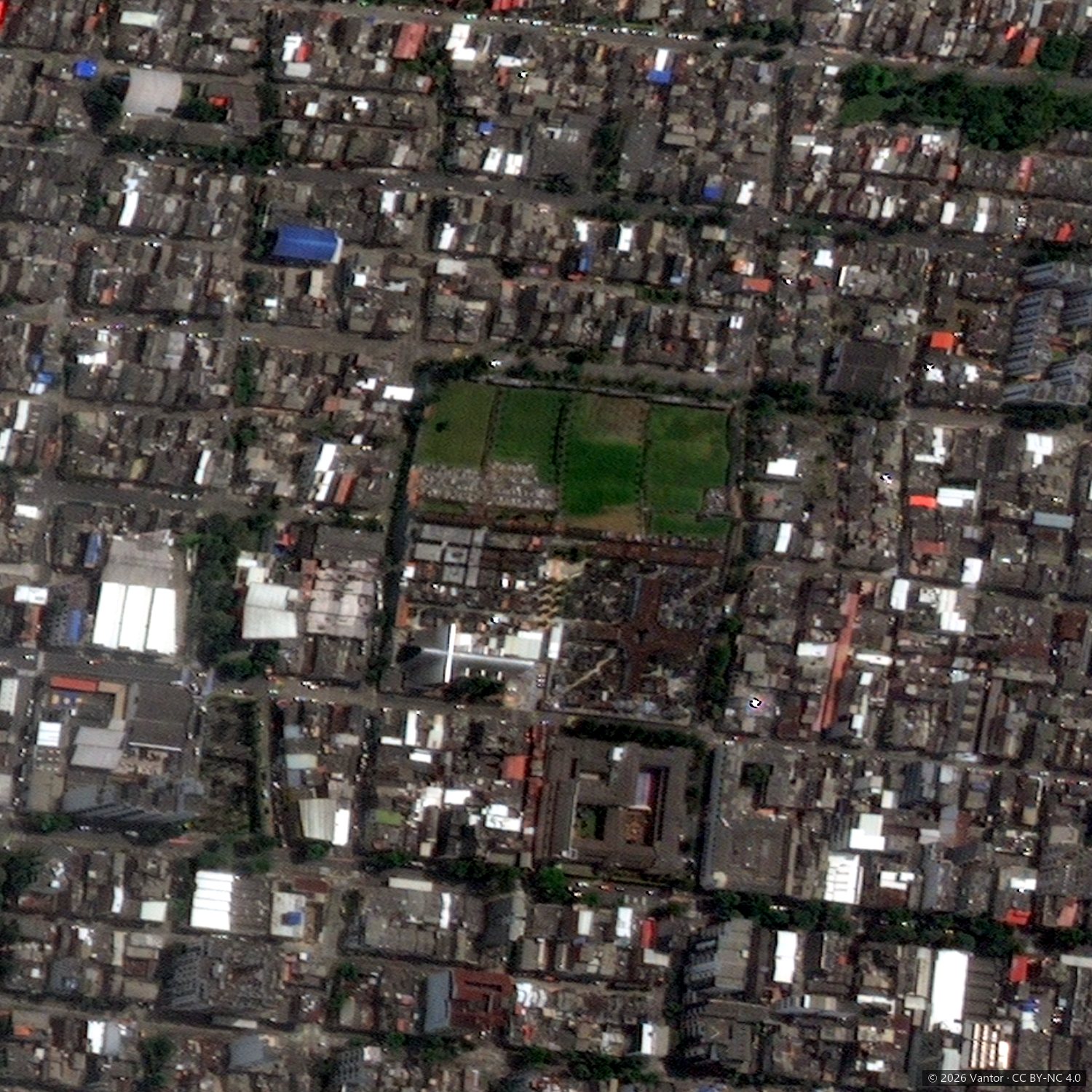 Cementerio San Camilo, 31 de julio de 2026